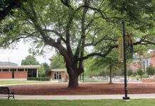 ATU Announces Spring 2026 President’s List, Dean’s List Mullens Plaza