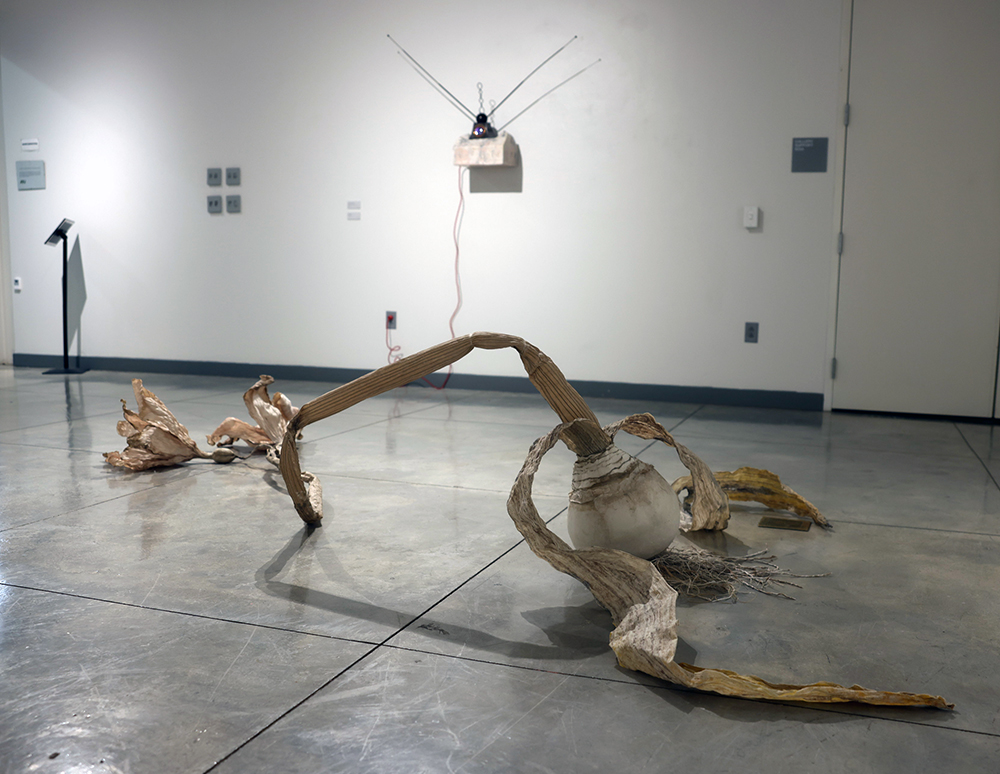 Trout Street August 2026 Trout Street August 2026