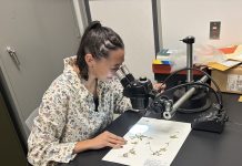 ATU’s Evans Earns Delzie Demaree Research Grant Aubrey Evans Fall 2026